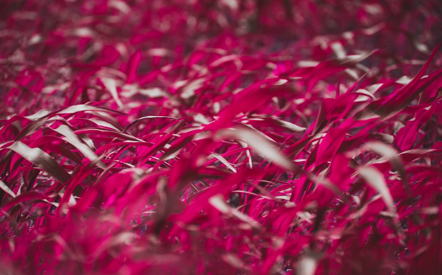 Exploring Boundless Fields of Thought